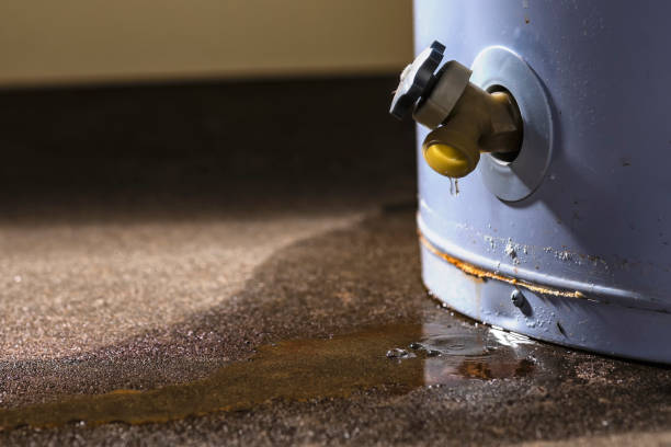 Best Water damage contractors near me  in Ozark, AL