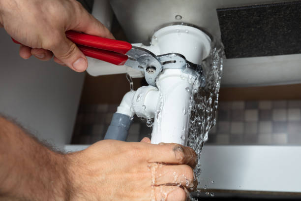 Best Sewage cleanup and water damage restoration  in Ozark, AL