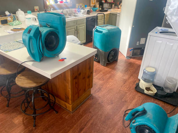 Local water damage restoration in Ozark, AL