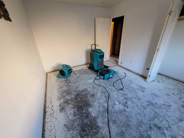 Best Carpet water damage restoration  in Ozark, AL
