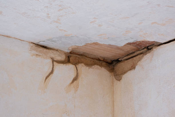 Best Flooded house restoration  in Ozark, AL