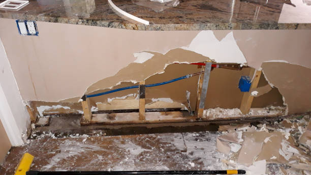 Best 24/7 water damage repair  in Ozark, AL
