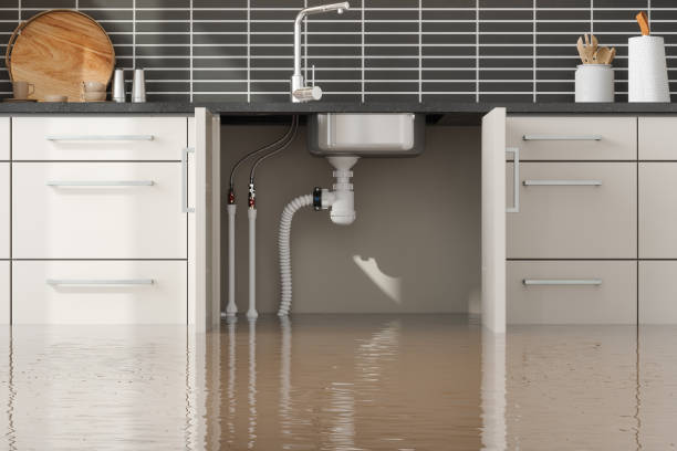 Best Water damage restoration services  in Ozark, AL