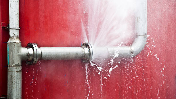 Carpet water damage restoration in Ozark, AL